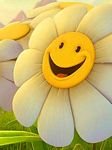 pic for flower smile